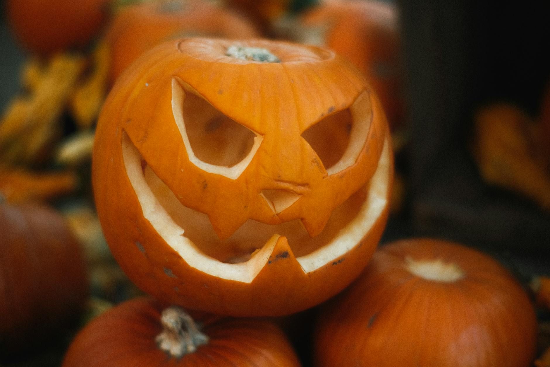 Мастер-класс Jack o' Lantern — резьба по тыкве с выездом